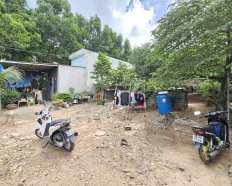 Ảnh đại diện