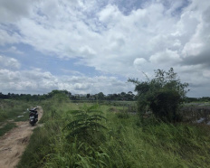 Ảnh đại diện
