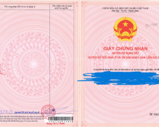Ảnh đại diện