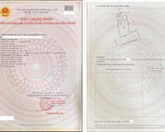 Ảnh đại diện