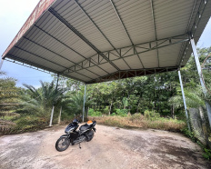 Ảnh đại diện