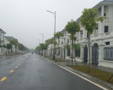 Ảnh đại diện