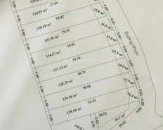 Ảnh đại diện