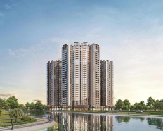 Ảnh đại diện