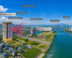 Ảnh đại diện