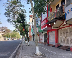 Ảnh đại diện