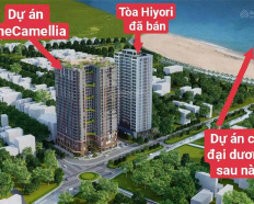 Ảnh đại diện