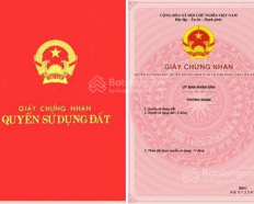 Ảnh đại diện