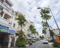 Ảnh đại diện