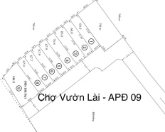 Ảnh đại diện