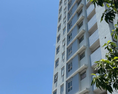 Ảnh đại diện