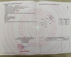 Ảnh đại diện