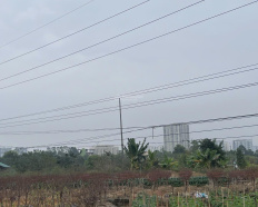 Ảnh đại diện