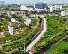 Ảnh đại diện