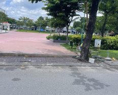 Ảnh đại diện