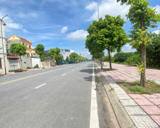 Ảnh đại diện