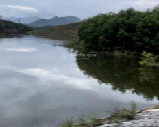 Ảnh đại diện