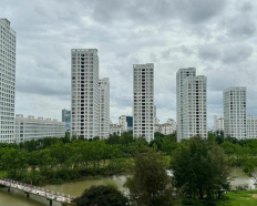 Ảnh đại diện