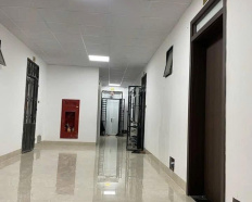 Ảnh đại diện