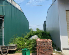 Ảnh đại diện