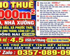 Ảnh đại diện