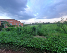 Ảnh đại diện