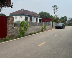 Ảnh đại diện