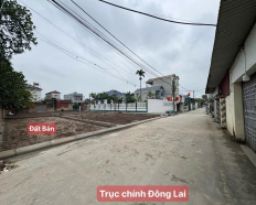 Ảnh đại diện