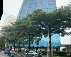 Ảnh đại diện