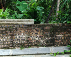 Ảnh đại diện