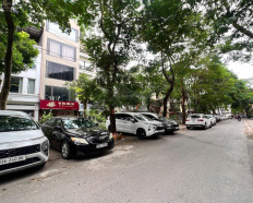 Ảnh đại diện