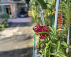 Ảnh đại diện