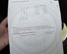 Ảnh đại diện