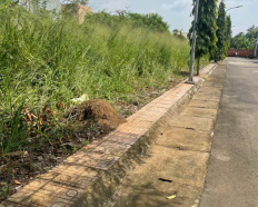 Ảnh đại diện