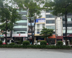 Ảnh đại diện