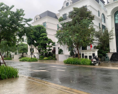 Ảnh đại diện
