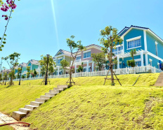 Ảnh đại diện