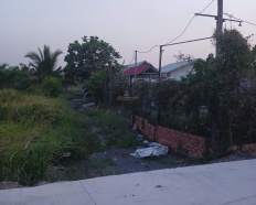 Ảnh đại diện