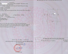 Ảnh đại diện