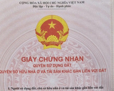 Ảnh đại diện