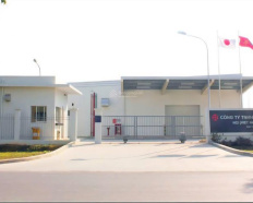 Ảnh đại diện