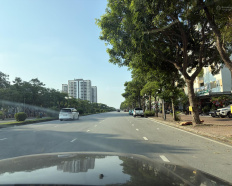 Ảnh đại diện