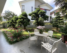 Ảnh đại diện