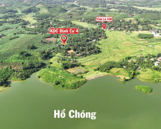 Ảnh đại diện
