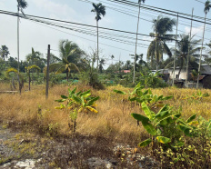 Ảnh đại diện