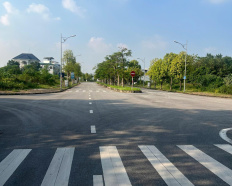Ảnh đại diện