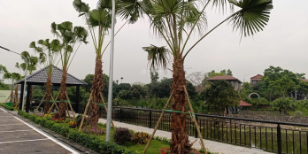 11
            
        
        
            
                
                    
                        Dòng tiền cao Lãi kép Hòa Lạc - Thạch Thất cạnh ĐH FPT, HV Tài Chính, sát CNC, view Hồ-Bãi đỗ xe !
                    
                
                
                    
                        3,2 tỷ
                            ·
                            100 m²
                            ·
                            32 tr/m²

                            
                    
                    
                            
                        TX. Sơn Tây (X. Hòa Lạc mới)
                    
                    
                
                    
                        - Lô đất đẹp nhất khu Hòa lạc, cạnh Đại học FPT, học viện Tài Chính, Đại học Quốc gia và khu công nghệ cao Hòa Lạc. Diện tích 100m² full thổ cư giá F0 chỉ 3.2 tỷ. Đầu tư xây nhà cho thuê tạo dòng tiền ổn định 800 triệu/năm. LH 0704 082 *** để chọn lô đẹp nhất ạ.- Lô đất nền siêu đẹp Hòa Lạc - Đồng Trạng - Cổ Đông - Sơn Tây, view Hồ lớn, xung quanh toàn biệt thự cao cấp, có bãi đỗ xe, vườn hoa, khu tập thể dục, không khí mát mẻ trong lành quanh năm...
                    
            
            
                
                            
                                
                                        
                                    

                                
                                
                                    
                                        ‎Nguyễn Thạch Sáng
                                    
                                    
                                                
            Đăng 2 ngày trước
        

                                    
                                
                            
                
                
                        
                            
                            0704 082 *** · Hiện số