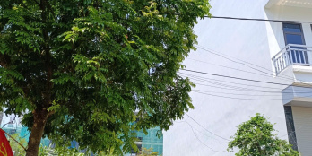7
            
        
        
            
                
                    
                        Chính chủ bán đất Hòa Lạc xây trọ sinh lời ngay, cạnh ĐH FPT, Học viện Tài Chính, Đại học Quốc gia
                    
                
                
                    
                        2,9 tỷ
                            ·
                            100 m²
                            ·
                            29 tr/m²

                            
                    
                    
                            
                        H. Thạch Thất (X. Hòa Lạc mới)
                    
                    
                
                    
                        Lô 100m² full thổ cư, view hồ lớn, nằm trong khu biệt thự cao cấp có bãi đỗ xe, vườn hoa, khu tập thể dục, cây xanh quanh năm. Cộng đồng dân cư văn minh, tri thức. Chỉ 50m ra trục Hồ Tây  Ba Vì. Cách ĐH FPT, Học viện Tài Chính, Đại học Quốc gia 5 phút - nguồn khách thuê dồi dào, ổn định. Xây nhà cho thuê thu về khoảng 700 triệu/năm. Khu vực đang đón ba làn sóng tăng giá lớn: Metro 5, Metro 12 và QL21 mở rộng lên 80m. Khi các trường đại học di dời...
                    
            
            
                
                            
                                
                                        
                                    

                                
                                
                                    
                                        ‎Nguyễn Thành Long
                                    
                                    
                                                
            Đăng 5 ngày trước
        

                                    
                                
                            
                
                
                        
                            
                            0943 110 *** · Hiện số