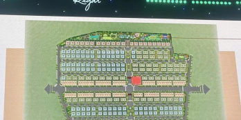 Ảnh đại diện