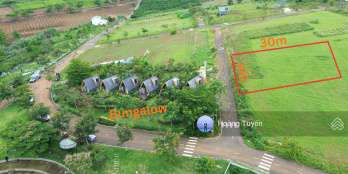 Ảnh đại diện